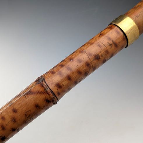 Early 20th century French antique shooting stick